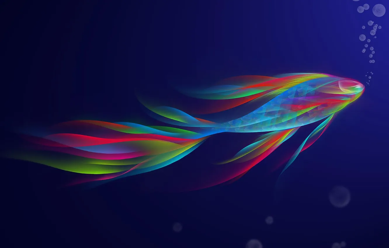 Photo wallpaper fish, Wallpaper, color