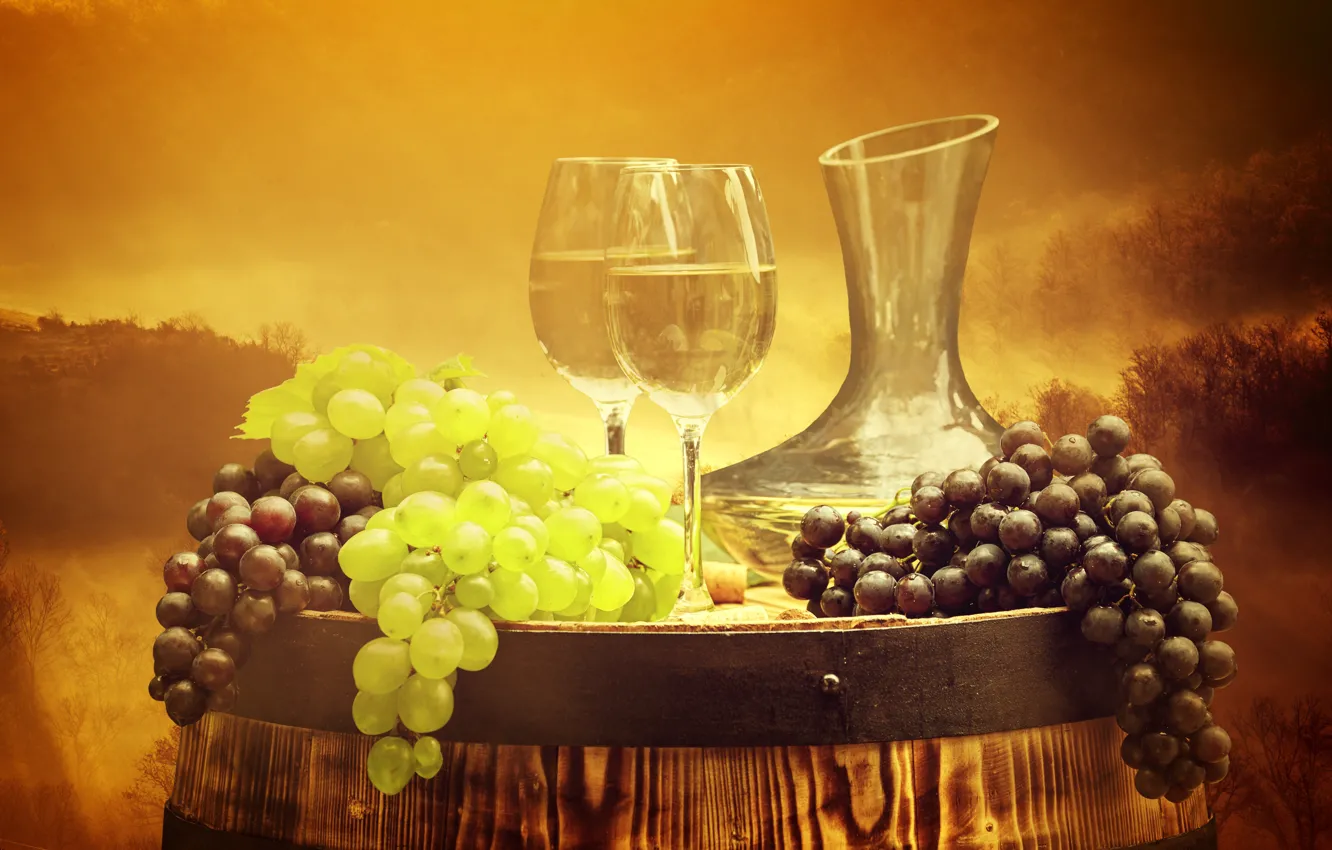 Photo wallpaper forest, trees, landscape, fog, background, wine, glass, grapes