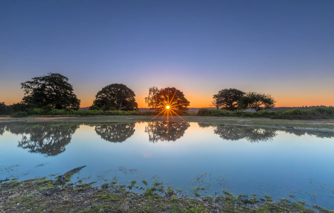 Photo wallpaper the sun, rays, trees, sunset, reflection, shore, pond