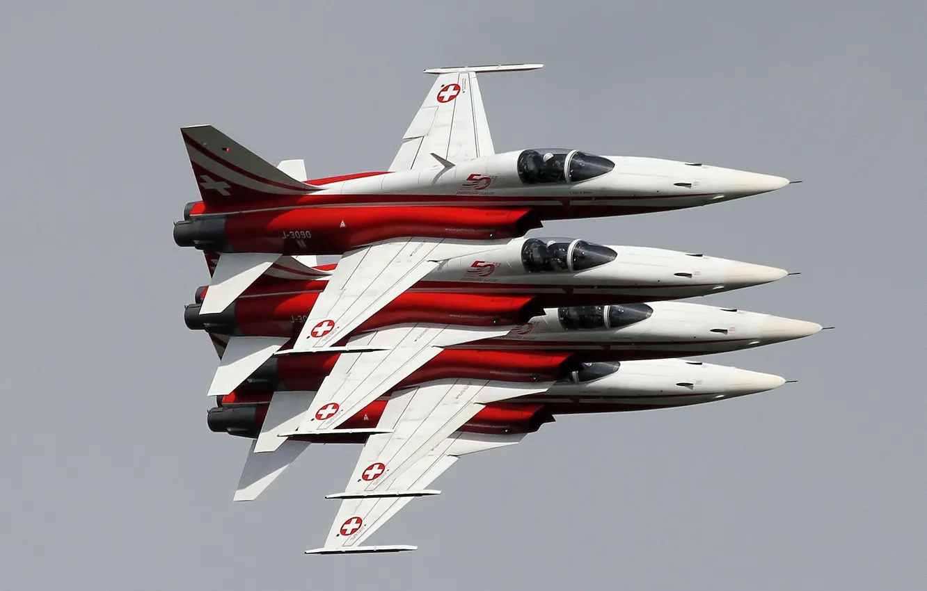 Photo wallpaper fighter, show, multipurpose, Tiger II, F-5E, Tiger II