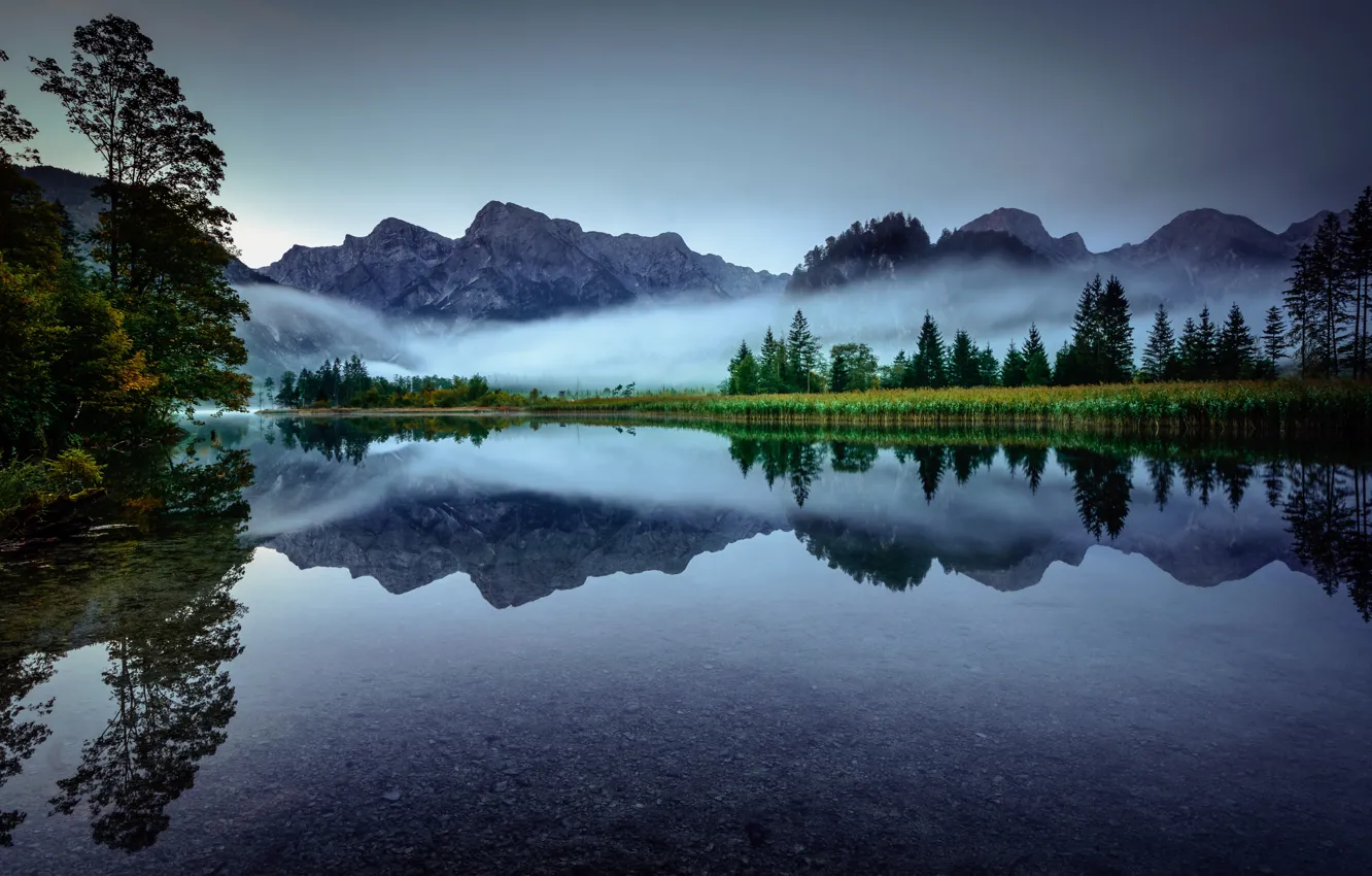 Photo wallpaper trees, mountains, fog, lake, reflection, morning, Austria, Alps