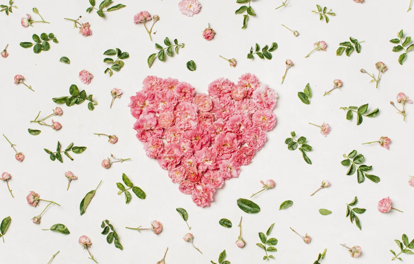 Photo wallpaper love, flowers, heart, petals, love, heart, pink, flowers