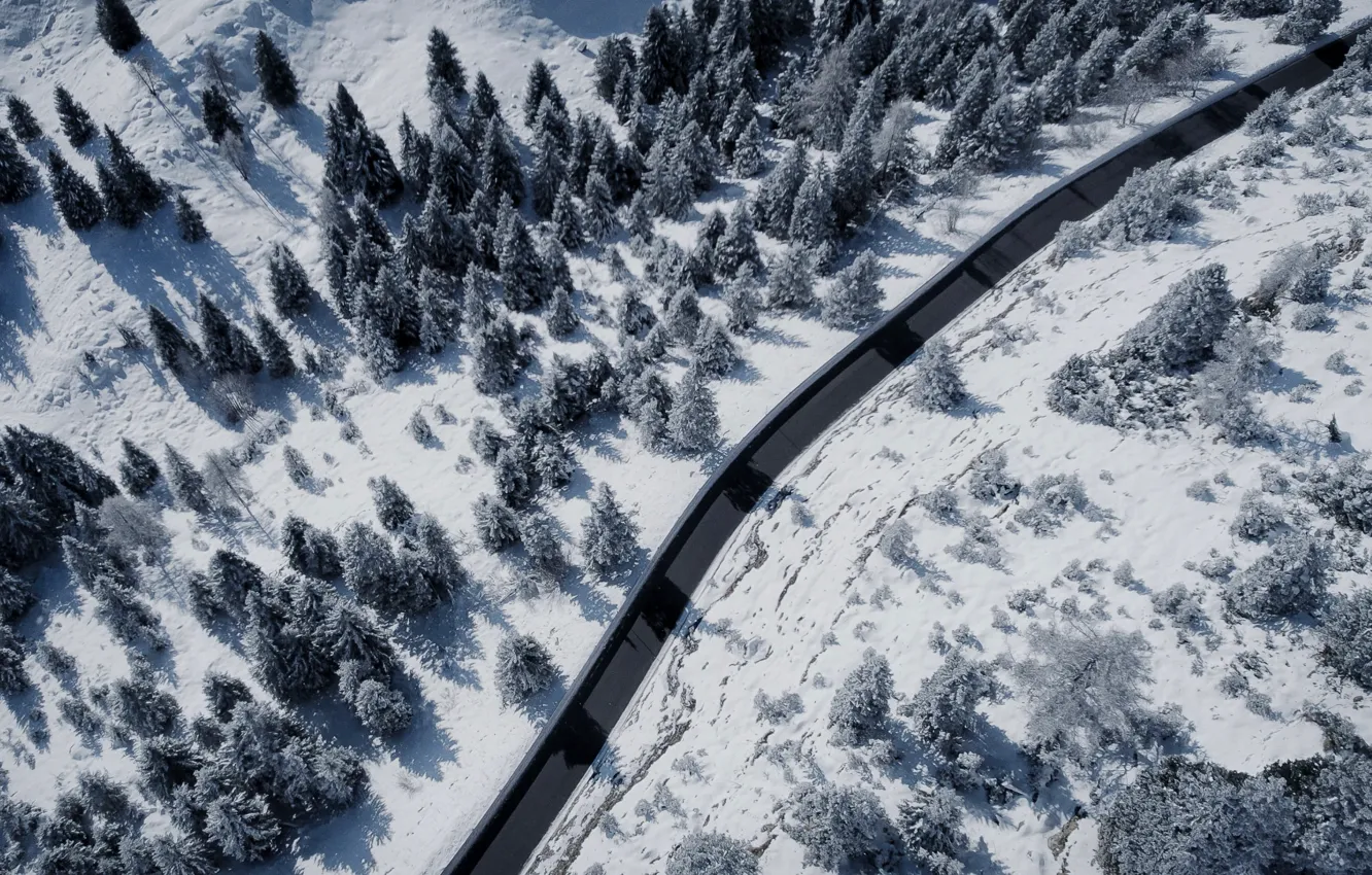 Photo wallpaper trees, landscape, nature, winter, snow, street, cold, Cris