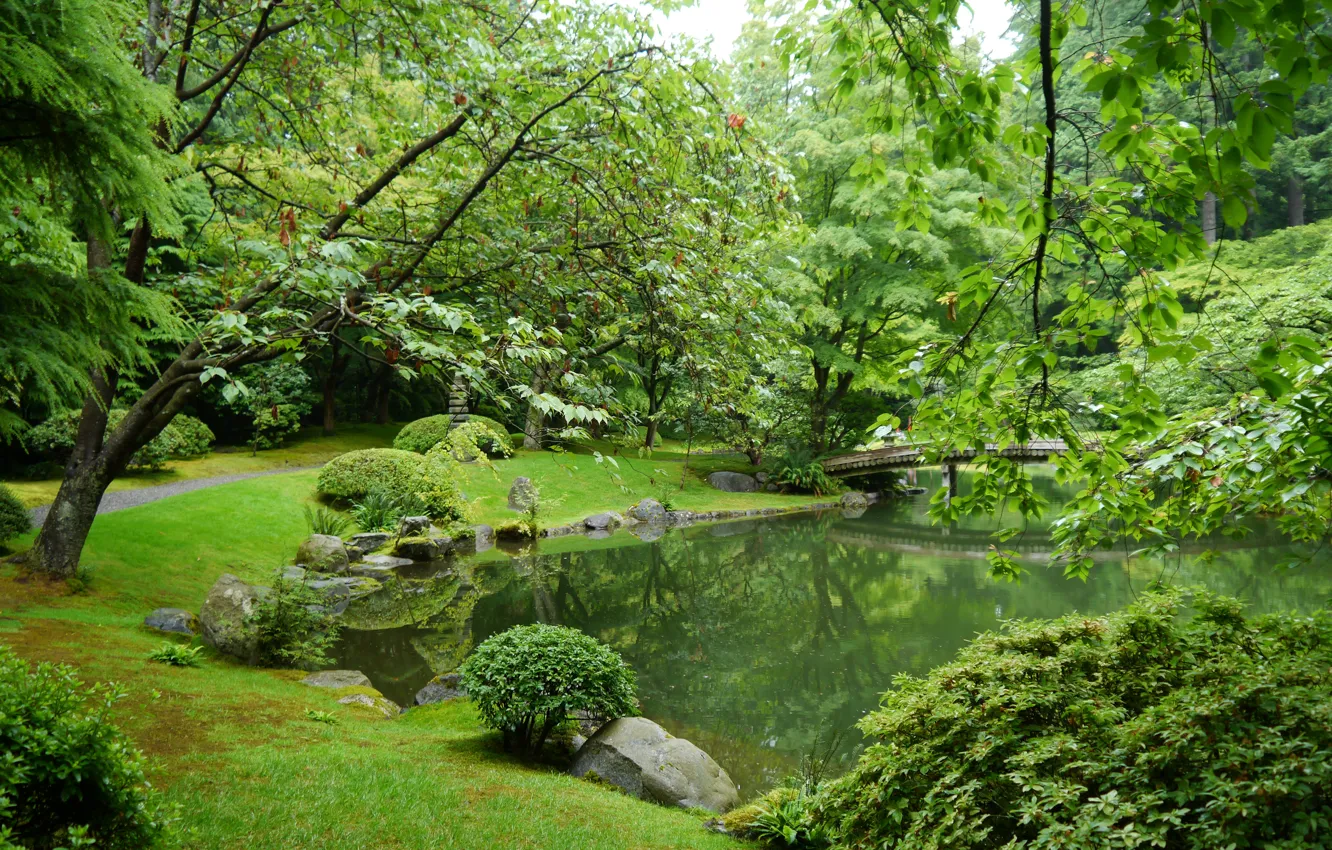 Photo wallpaper greens, grass, leaves, trees, branches, bridge, pond, stones