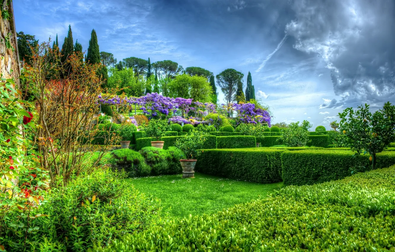 Photo wallpaper trees, Park, garden, Italy, the bushes, Italy, La Foce, Villa La Foce
