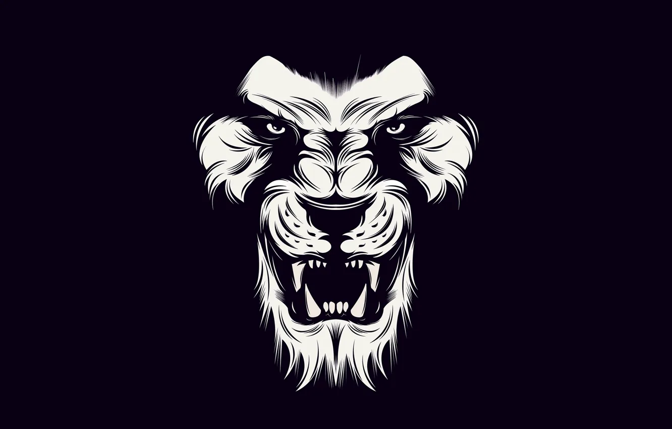 Photo wallpaper black, lion, White