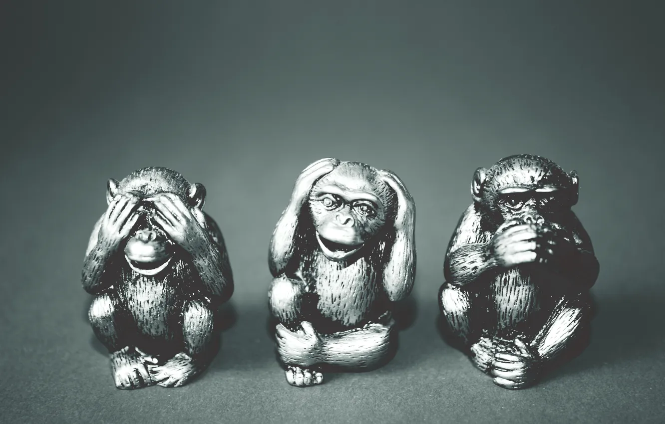 Photo wallpaper monkeys, works of art, Expressions