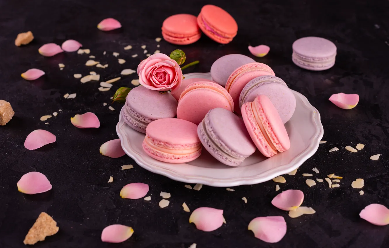 Photo wallpaper roses, petals, cookies, macaron