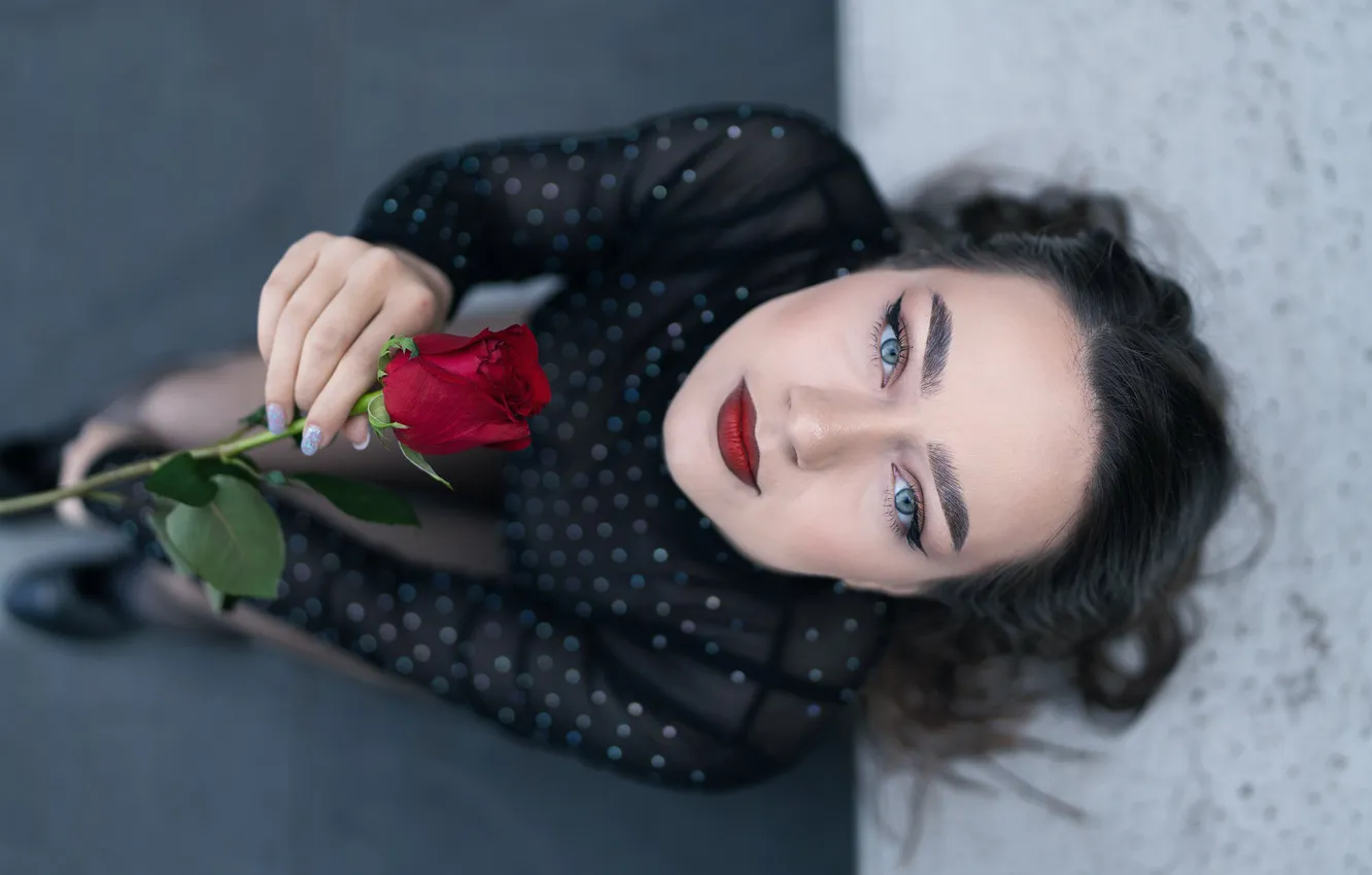 Photo wallpaper girl, roses, Cristina