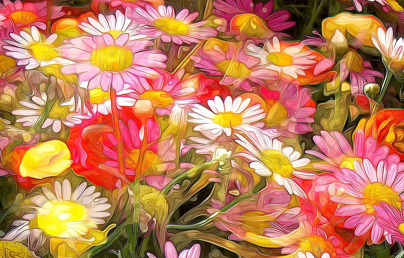 Photo wallpaper flowers, petals, garden, Daisy, meadow