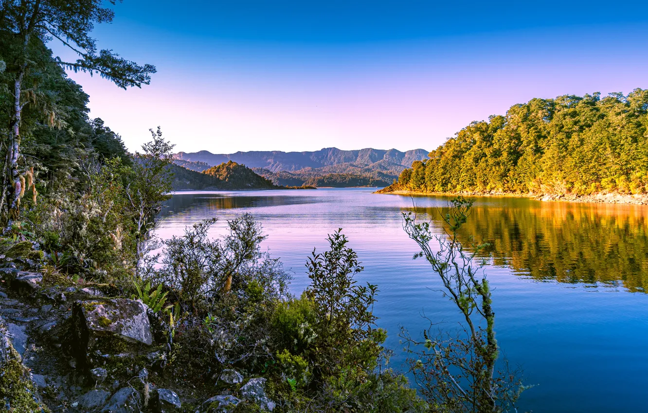 Photo wallpaper forest, lake, reflection, dawn, morning, New Zealand, New Zealand, Lake Waikaremoana