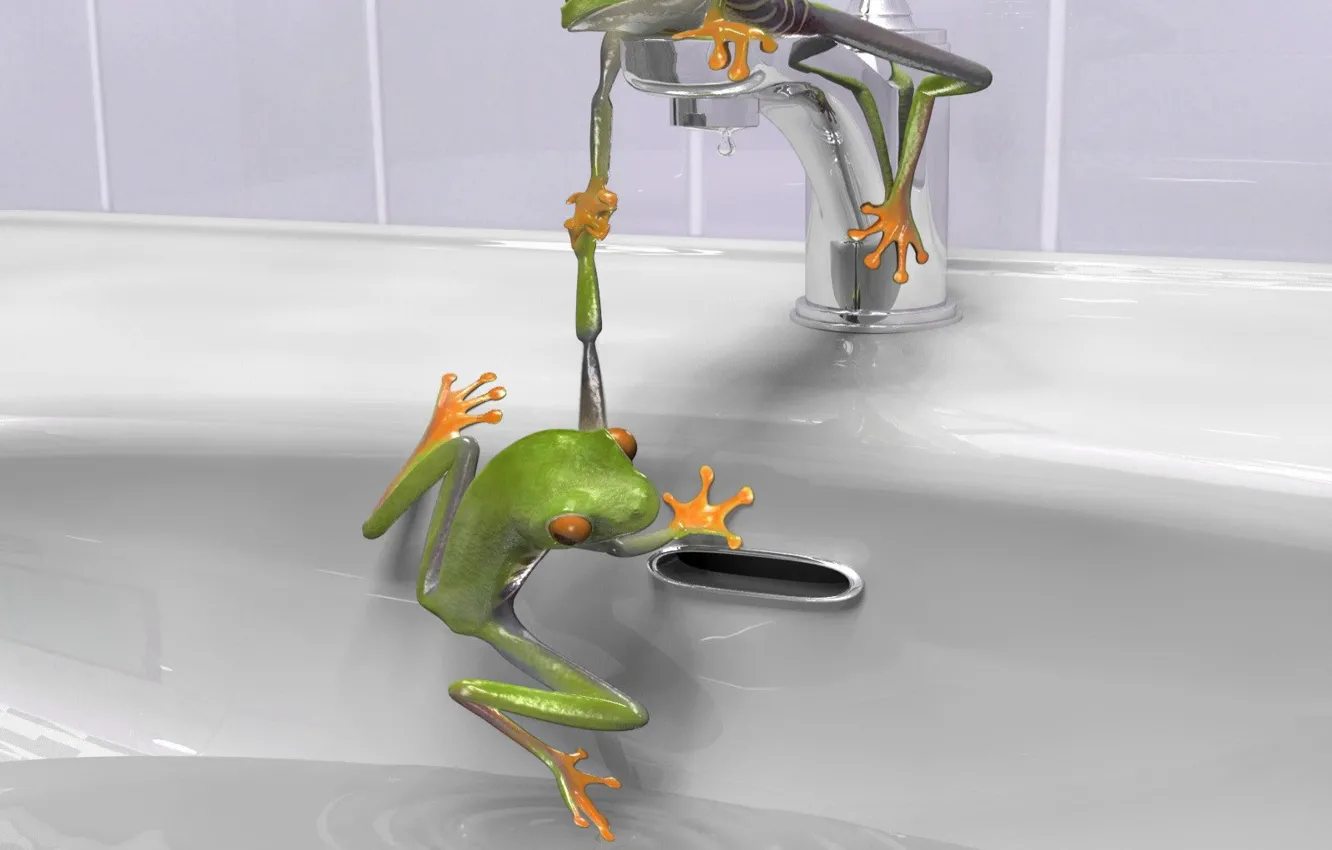 Photo wallpaper crane, sink, Frogs