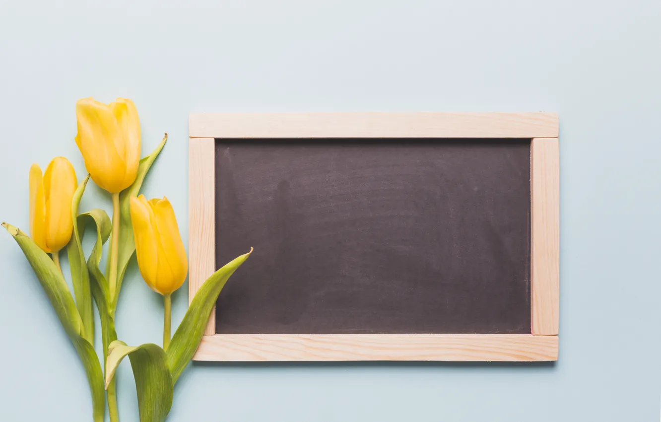 Photo wallpaper flowers, yellow, Board, bouquet, spring, frame, tulips, fresh
