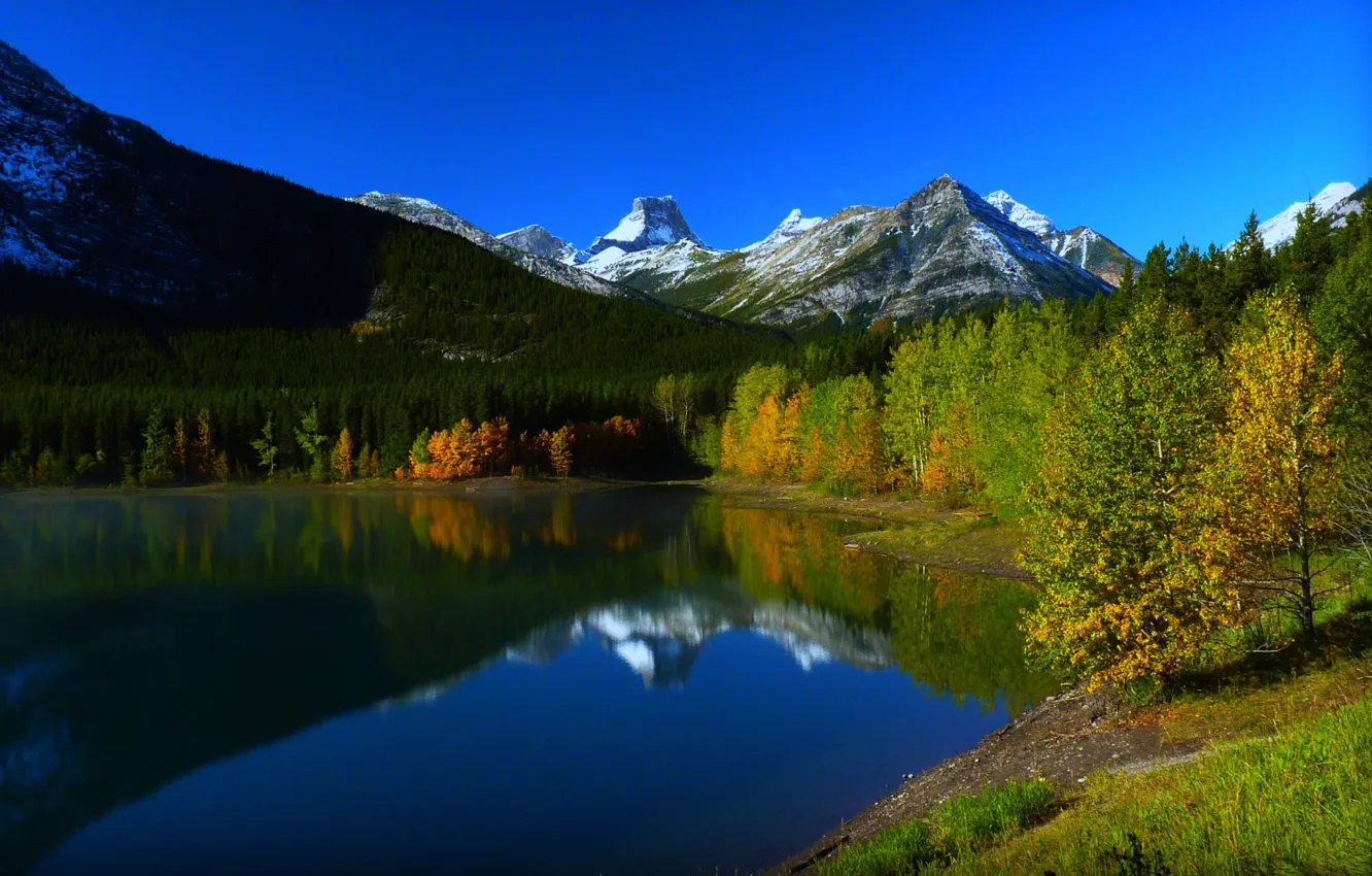 Photo wallpaper autumn, forest, snow, trees, mountains, lake, Canada, Albert