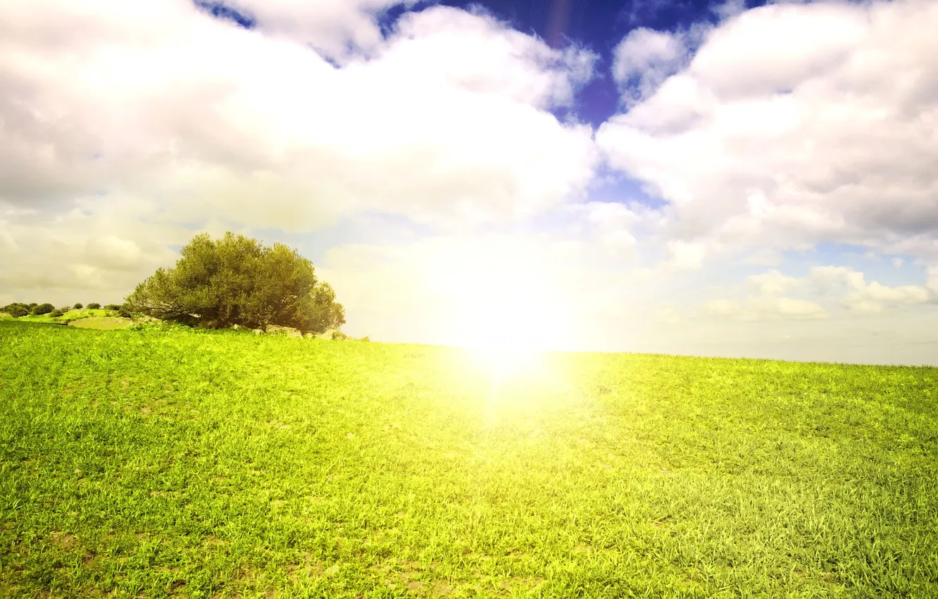 Photo wallpaper field, summer, the sky, grass, the sun, clouds, landscape, nature