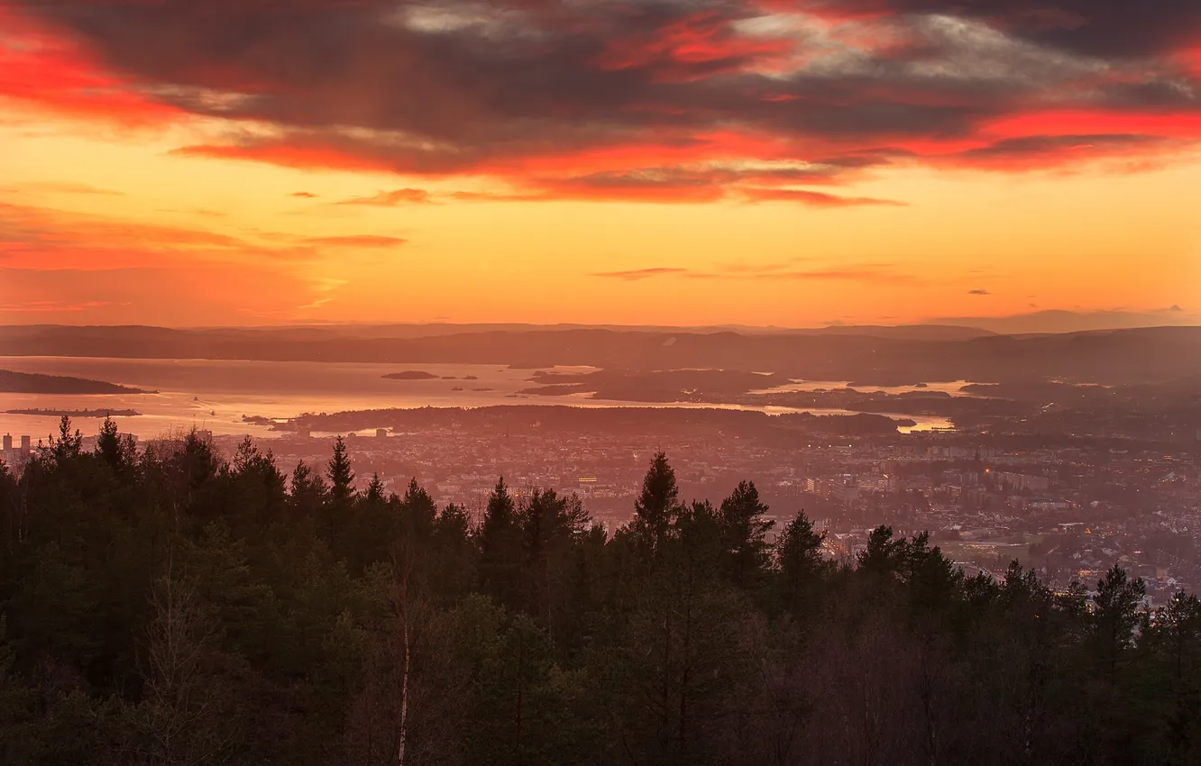 Photo wallpaper the sky, trees, landscape, Norway, Oslo