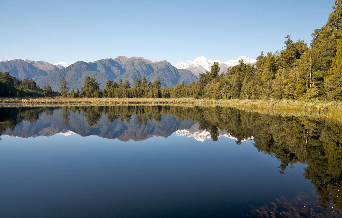 Photo wallpaper water, trees, landscape, nature, photo, beauty, beautiful pictures