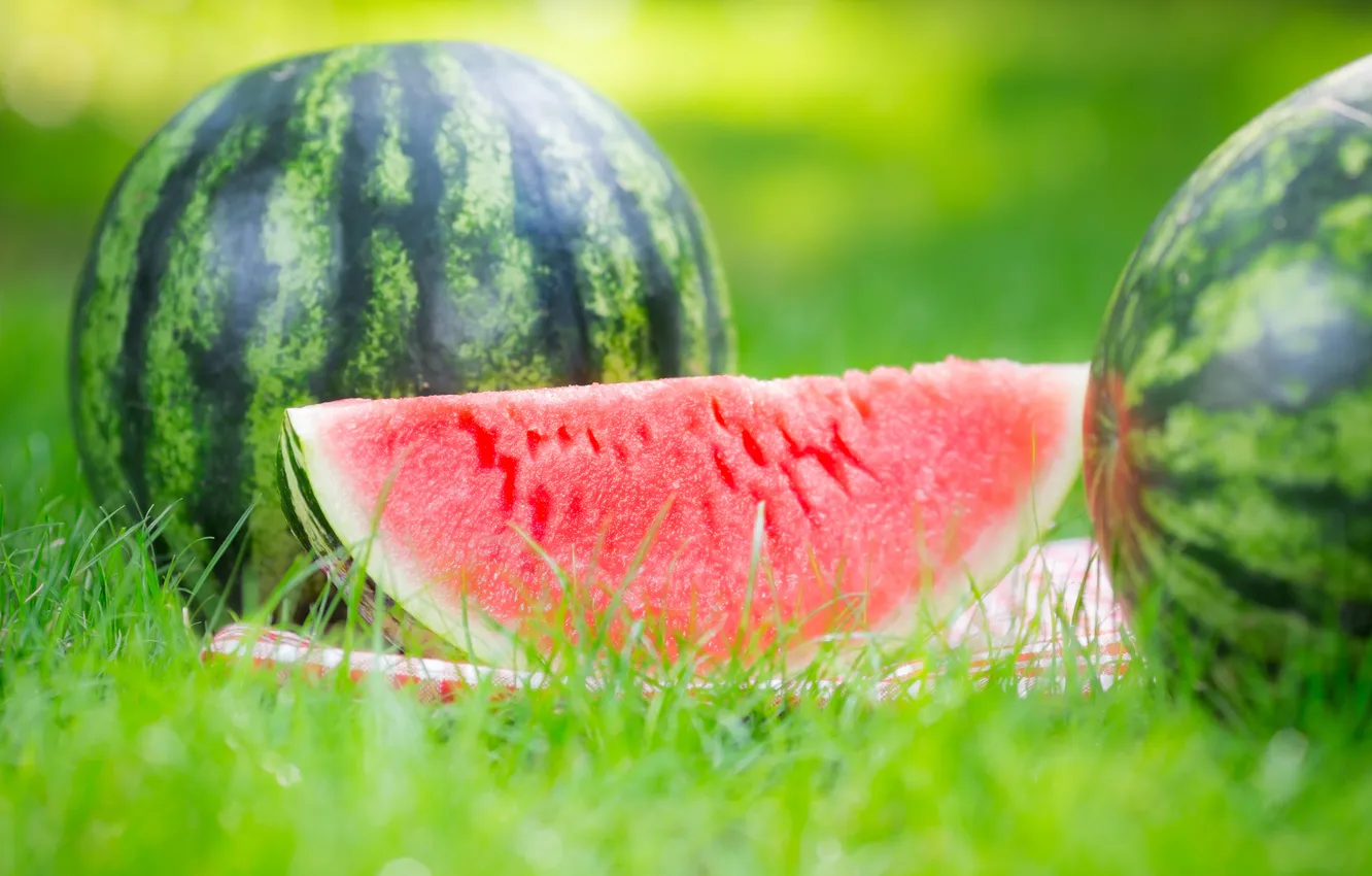 Photo wallpaper nature, watermelon, grass, weed, nature, slices, watermelon, cloves
