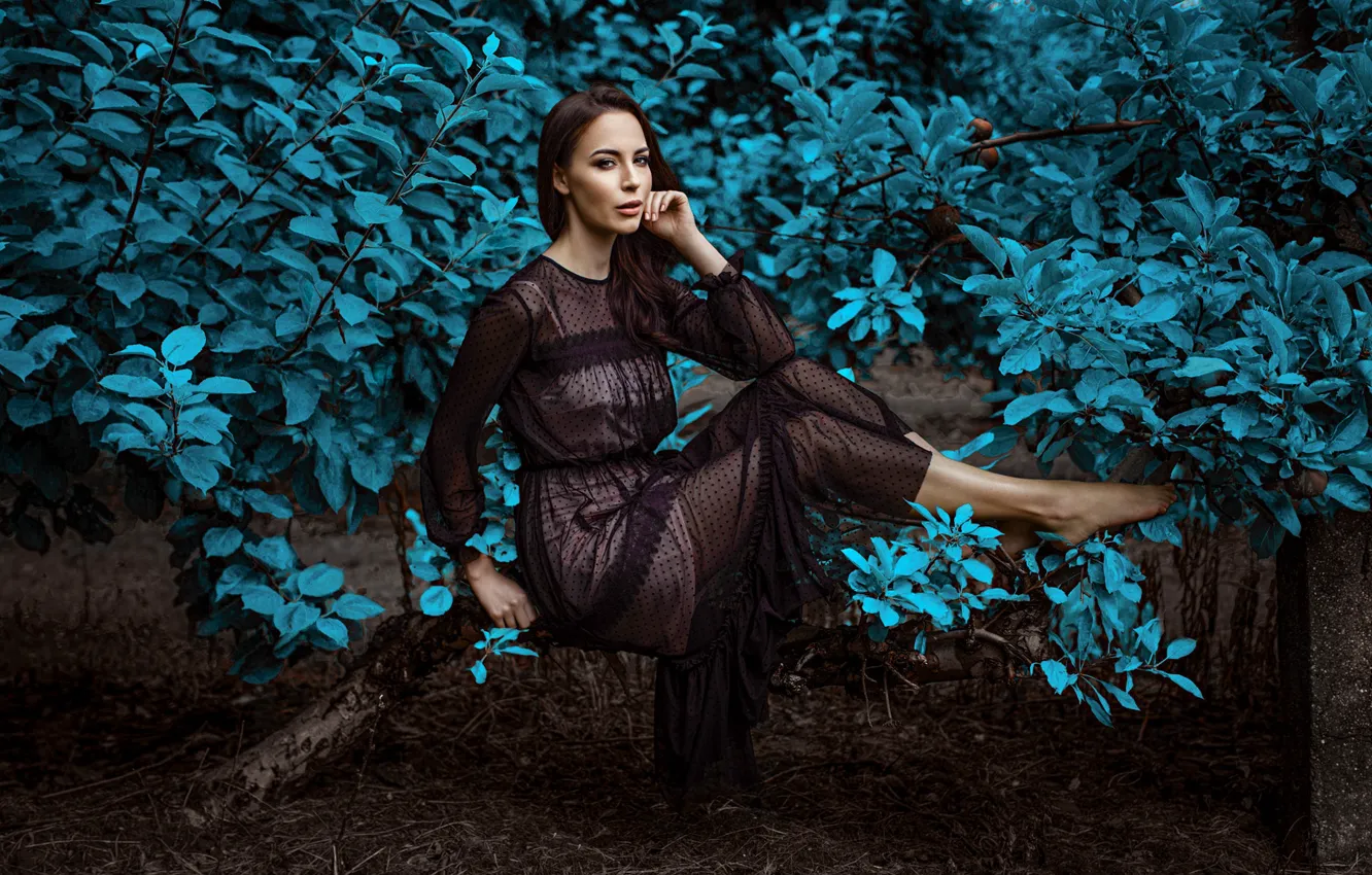 Photo wallpaper look, girl, branches, nature, pose, dress, Damian Feather