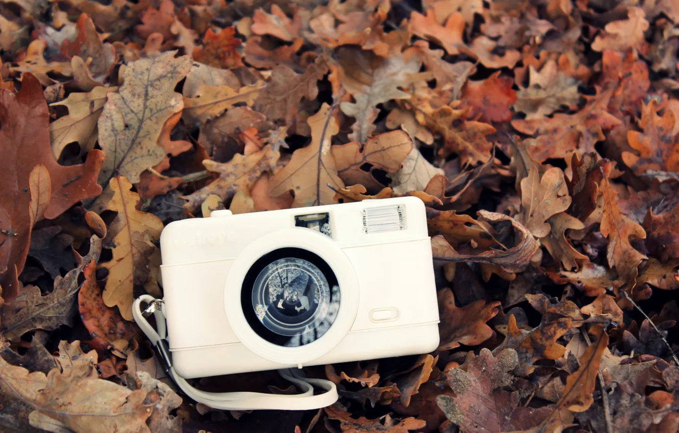 Photo wallpaper autumn, white, leaves, camera, the camera
