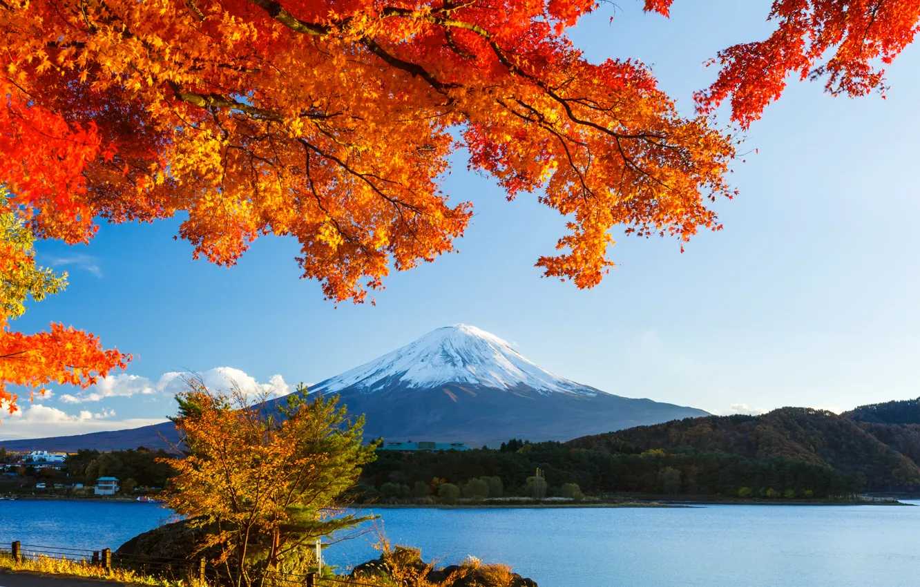 Photo wallpaper autumn, forest, the sky, leaves, snow, trees, lake, Japan