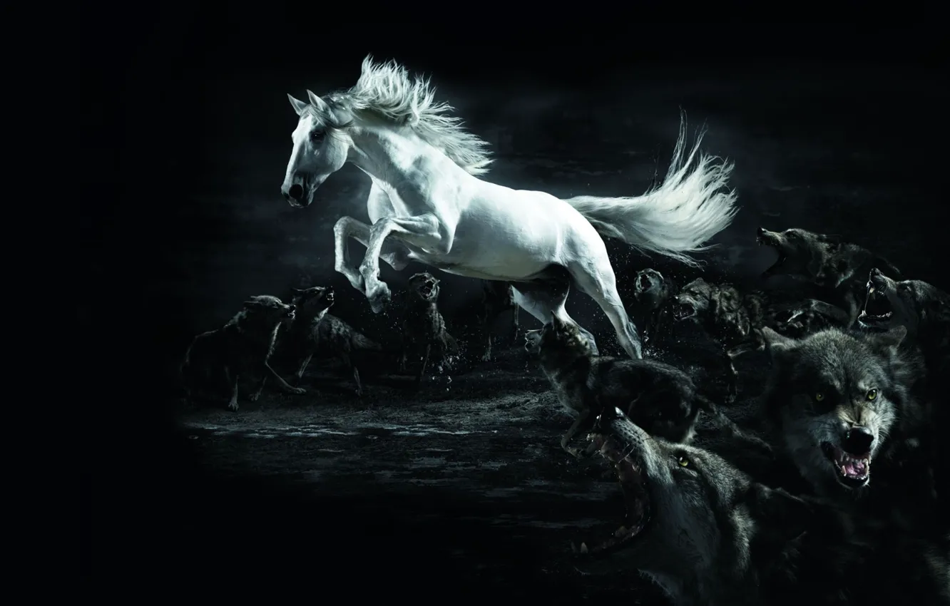 Photo wallpaper white, horse, wolf, twilight, wolf, horse
