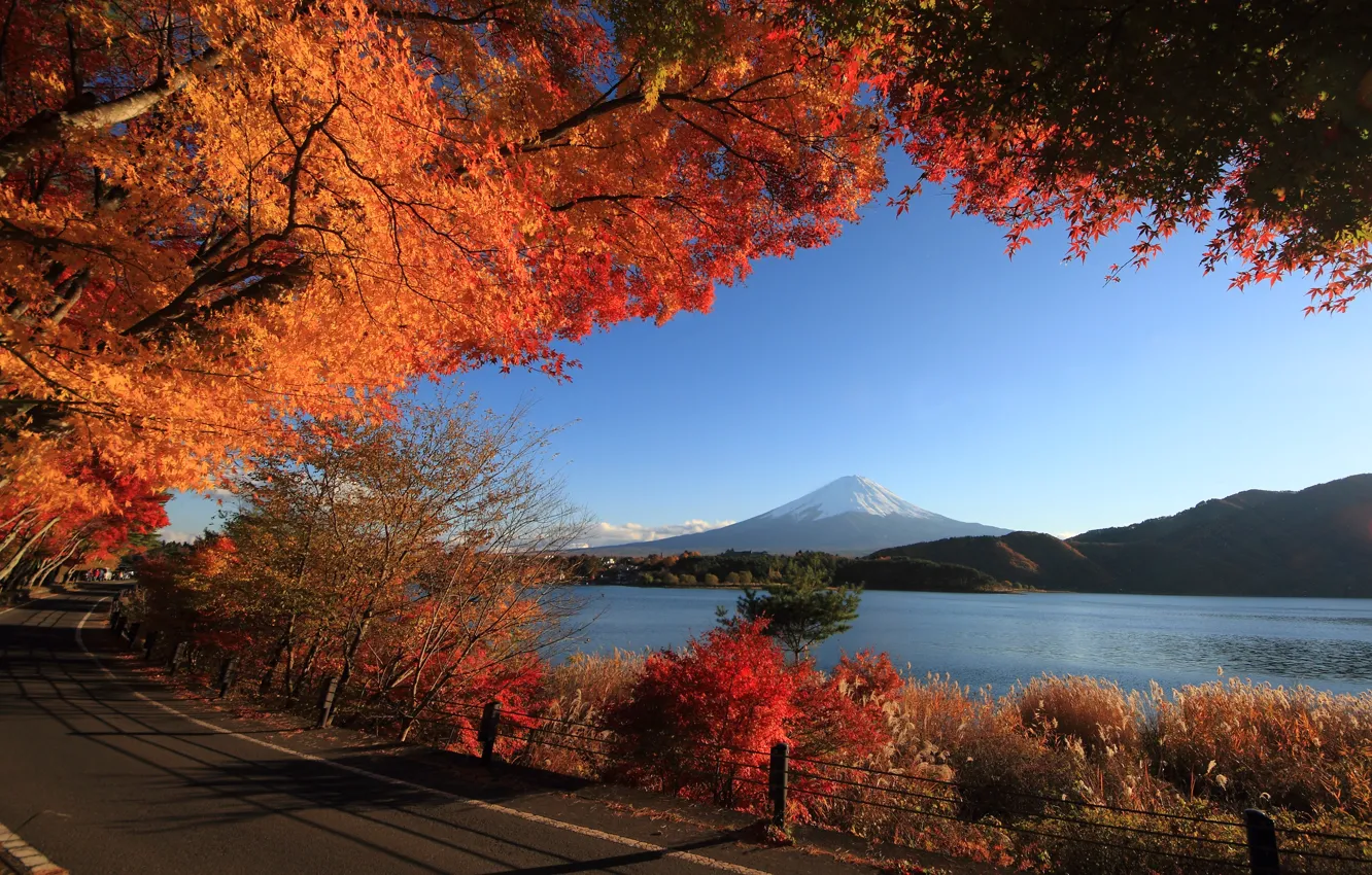 Photo wallpaper road, autumn, the sky, trees, lake, mountain