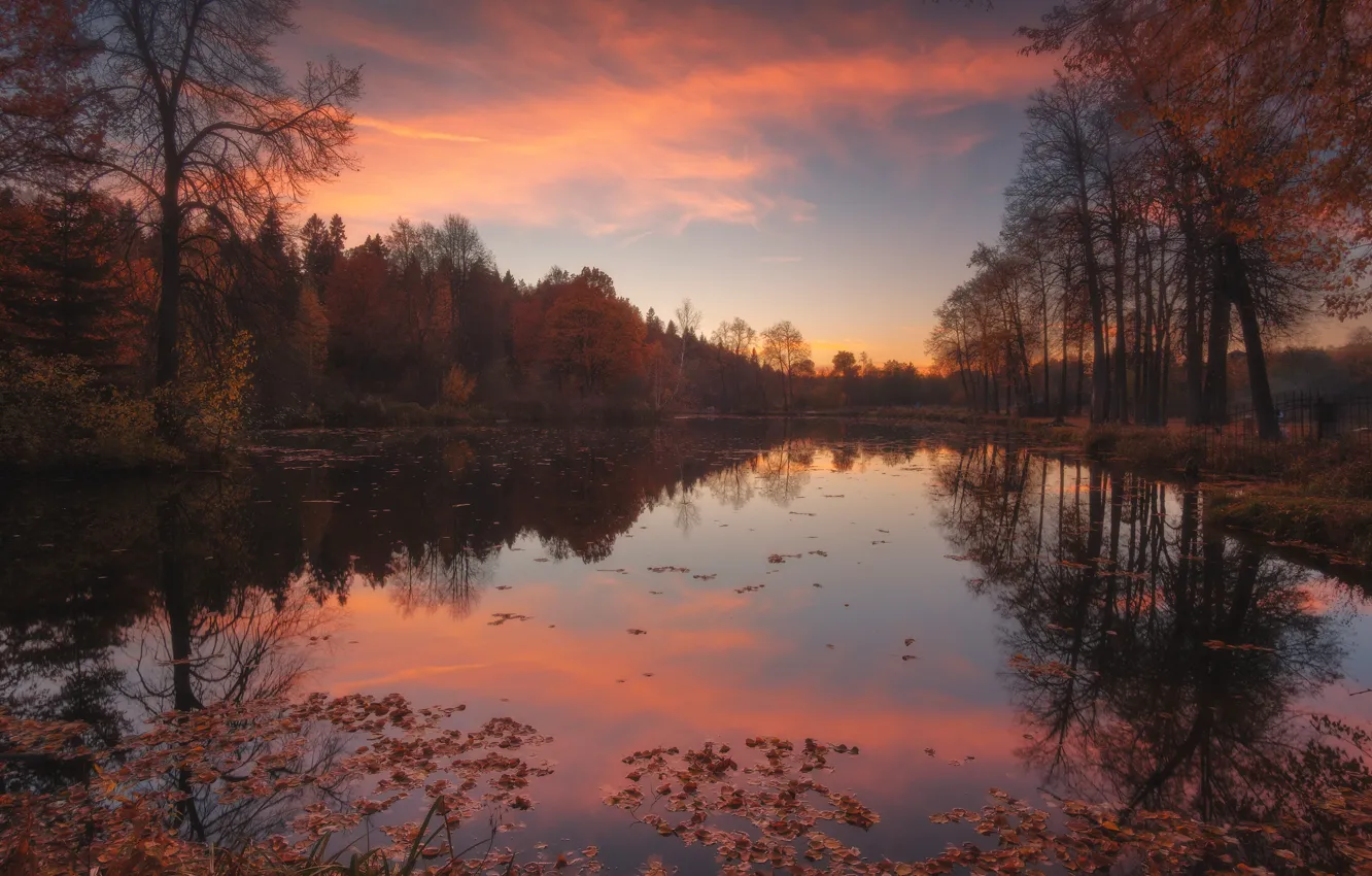 Photo wallpaper autumn, forest, landscape, sunset, nature, lake, pond, The suburbs