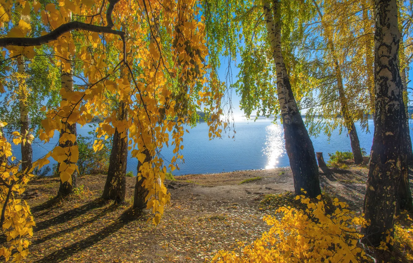 Photo wallpaper autumn, trees, shore, pond