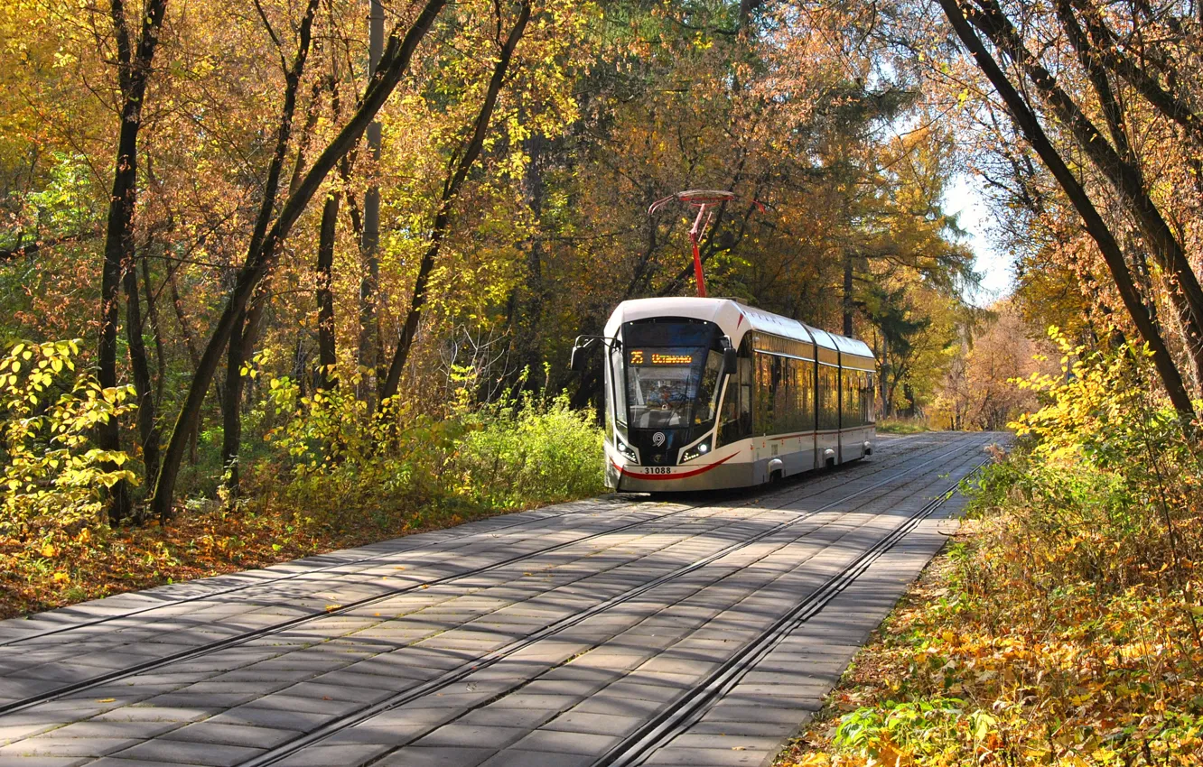Photo wallpaper autumn, Park, tram