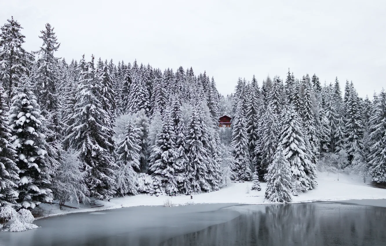 Photo wallpaper winter, forest, snow, trees, lake, Switzerland, house