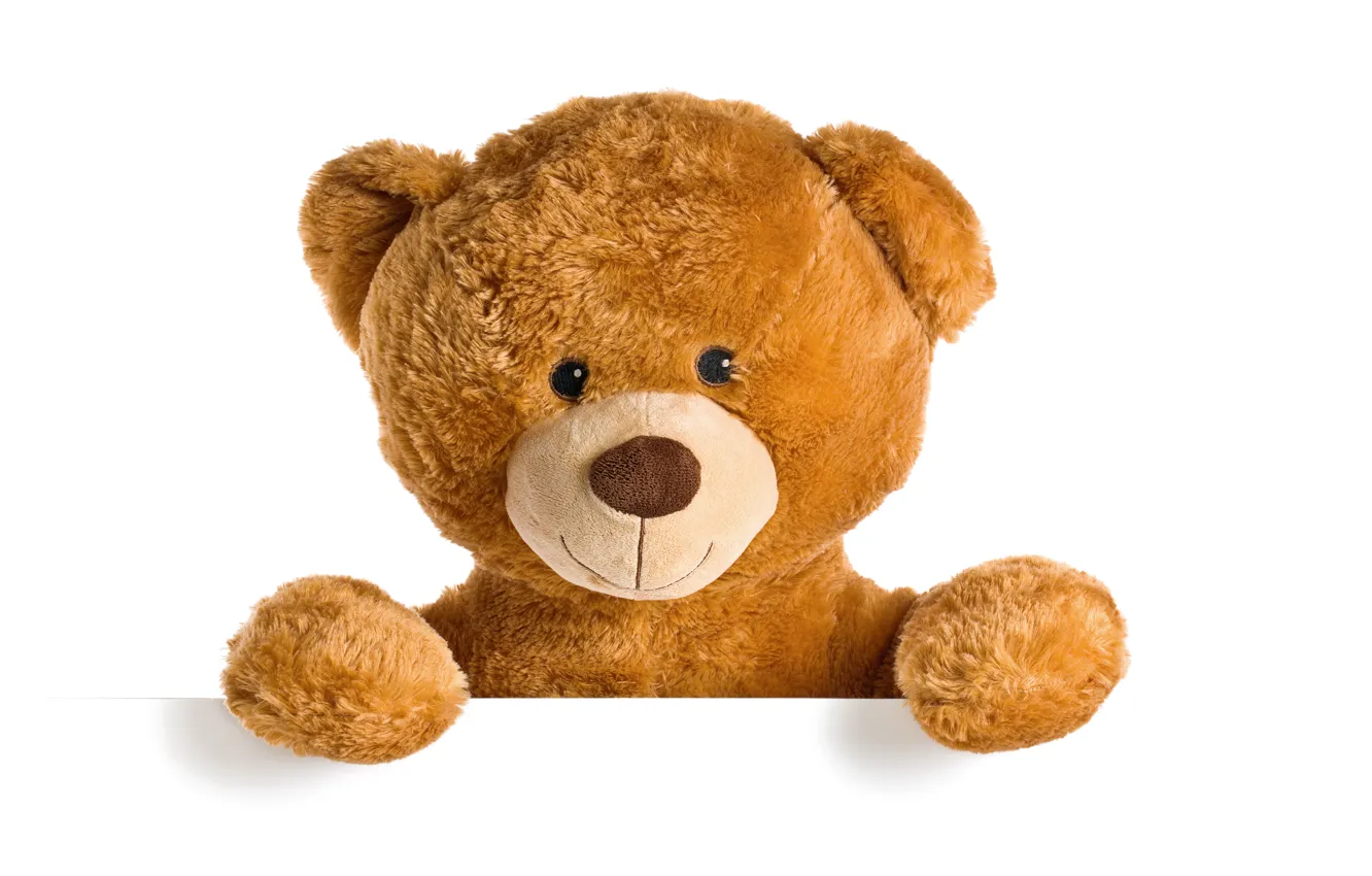 Photo wallpaper toy, bear, plush, toy, bear, teddy, cute