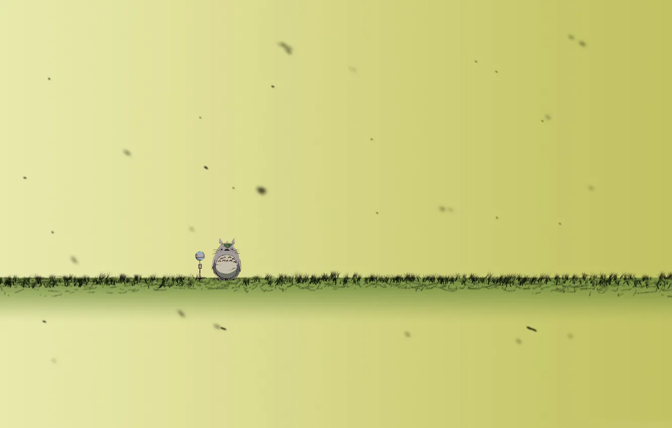 Photo wallpaper grass, animal, microphone, is, totoro, thick, Totoro, freak