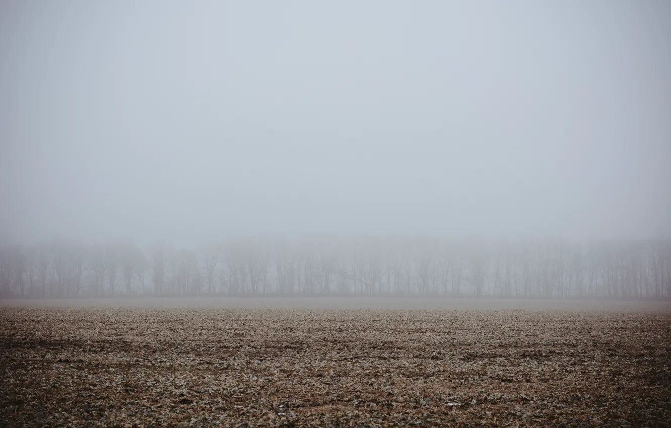 Photo wallpaper winter, field, trees, fog, day, Ukraine