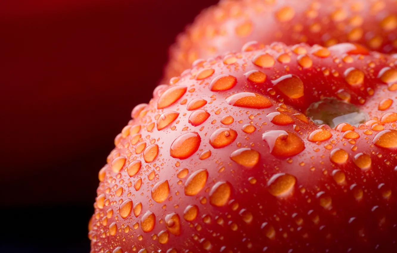 Photo wallpaper water, drops, tomatoes