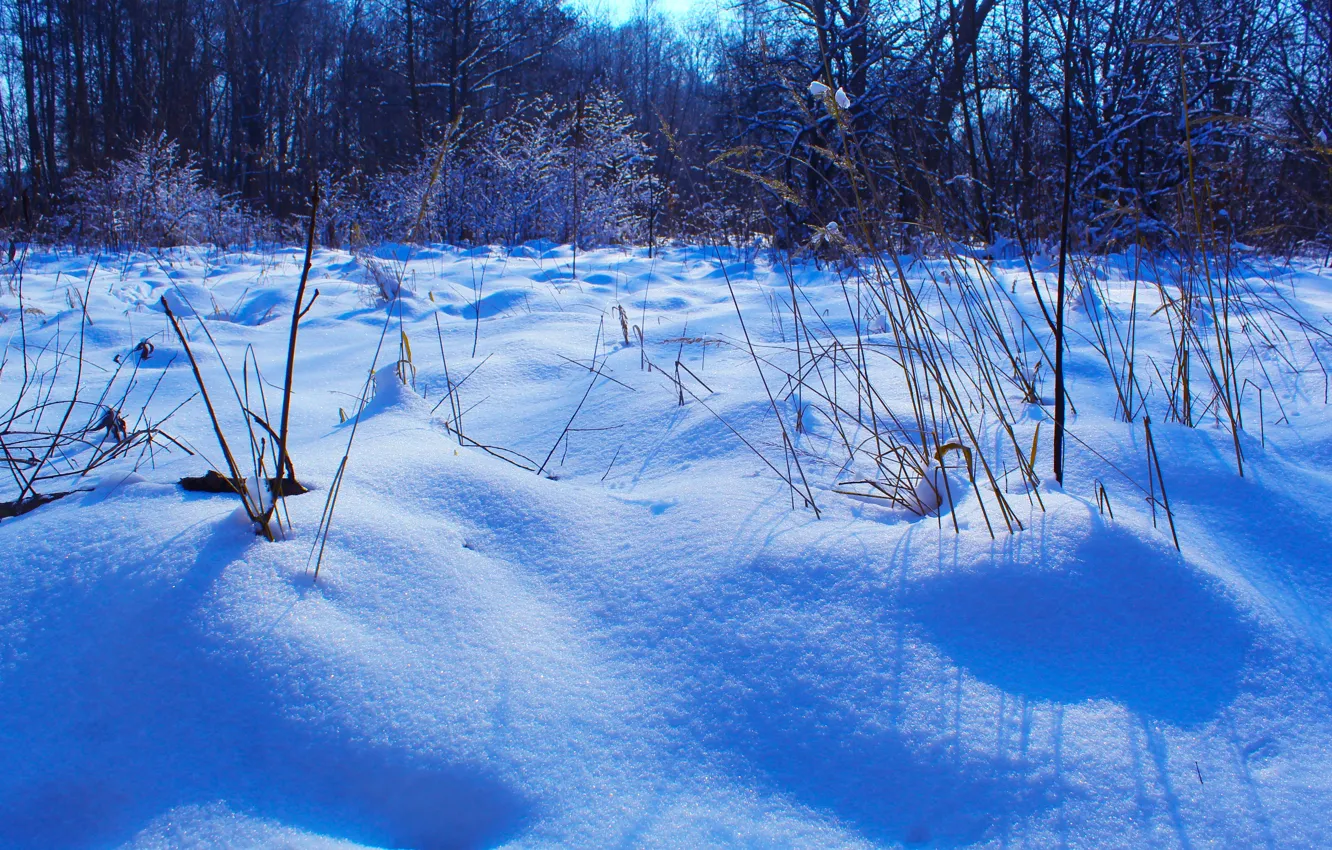 Photo wallpaper winter, snow, cold