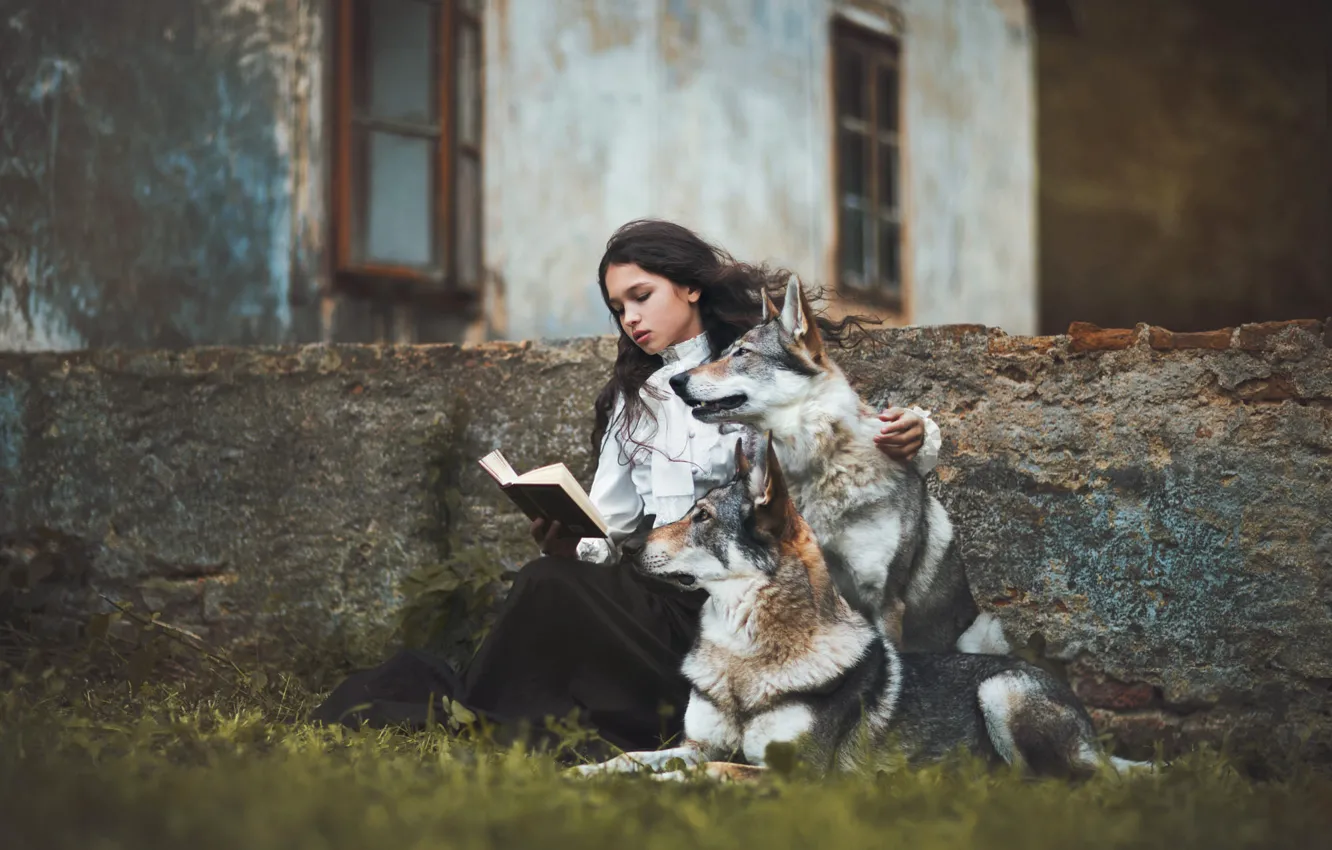 Photo wallpaper dogs, girl, house, girl, book, wolves, reading, young