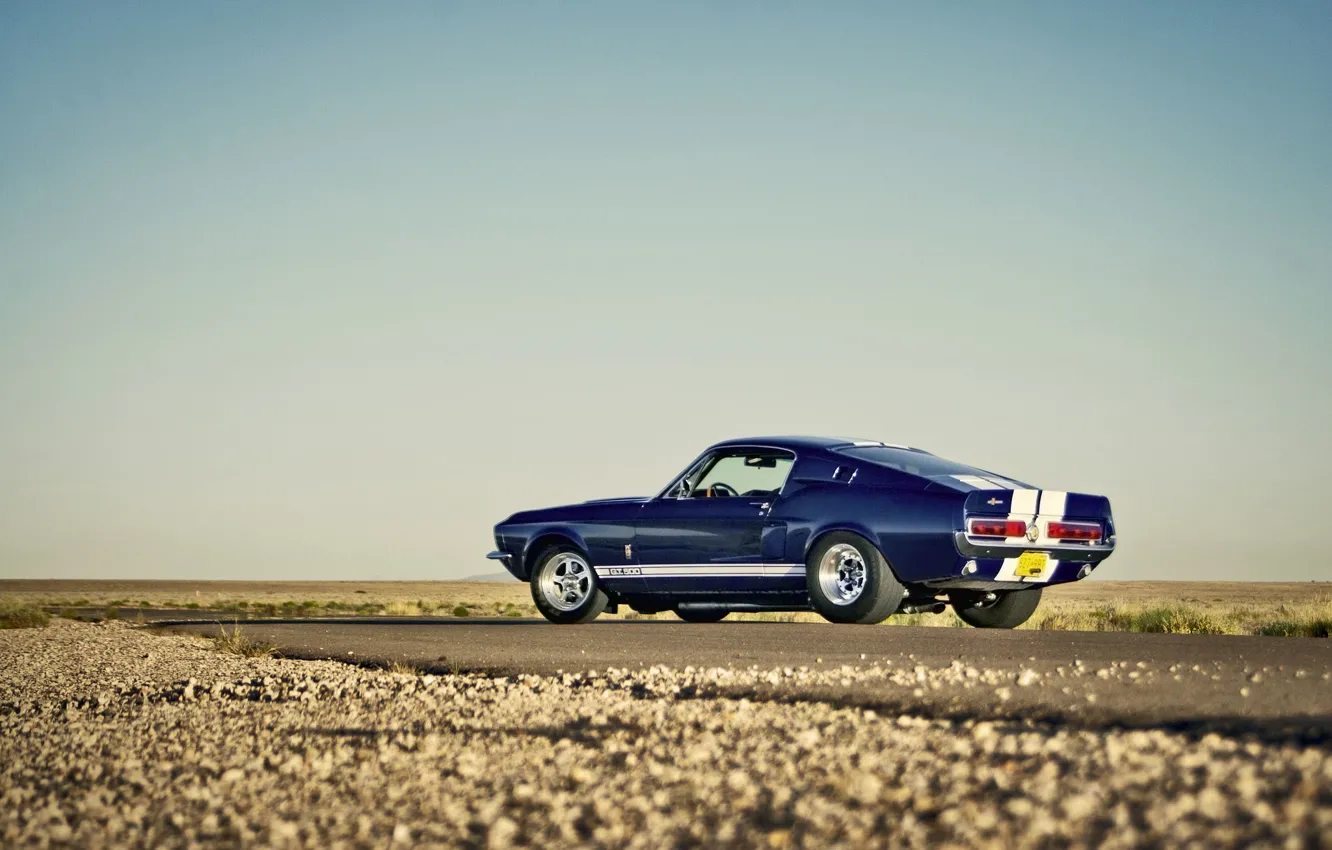 Photo wallpaper road, the sky, desert, Mustang, Ford, Shelby, GT500, horizon