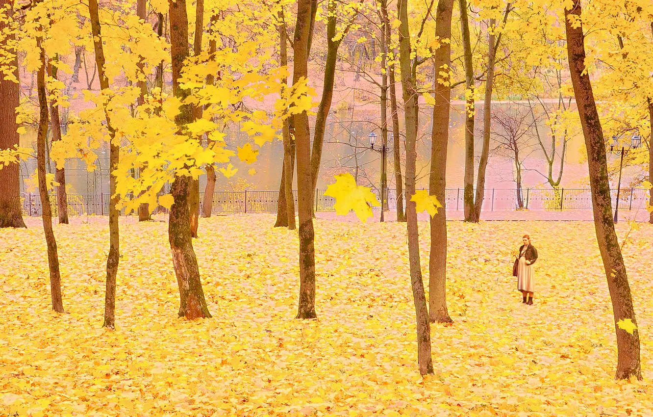 Photo wallpaper autumn, forest, girl, trees, branches, nature, Park, foliage