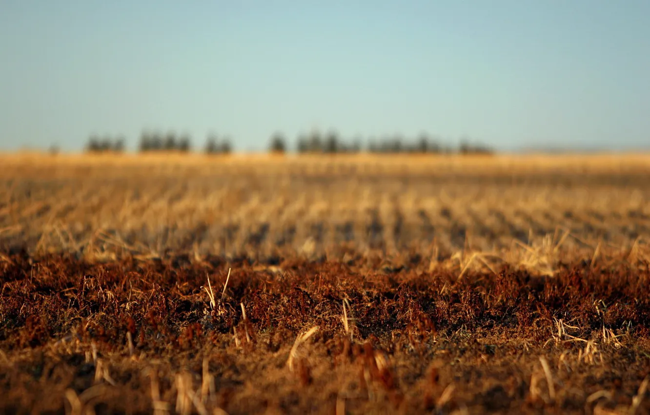 Photo wallpaper autumn, earth, Field