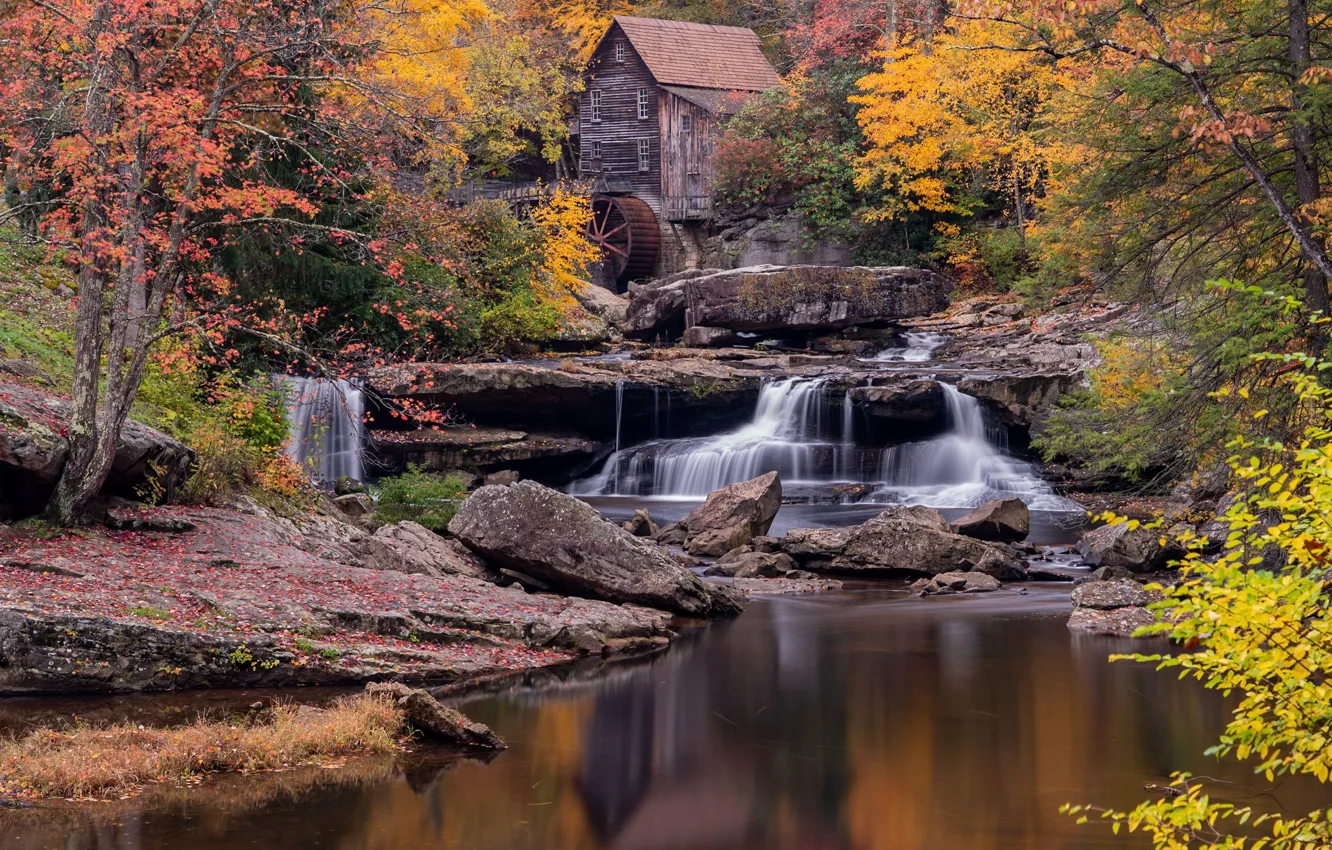 Photo wallpaper autumn, forest, water mill