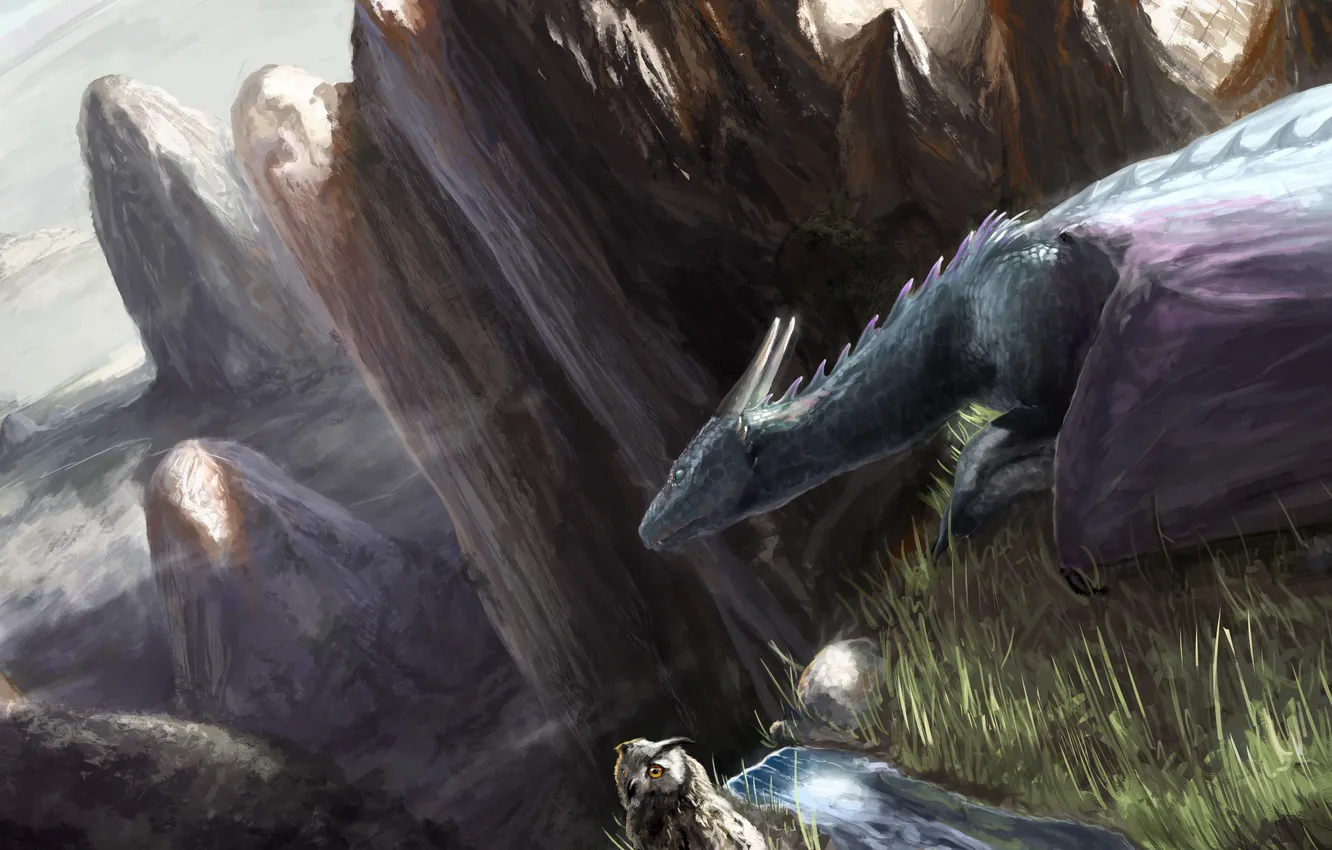 Photo wallpaper grass, mountains, stones, owl, bird, dragon, height, art