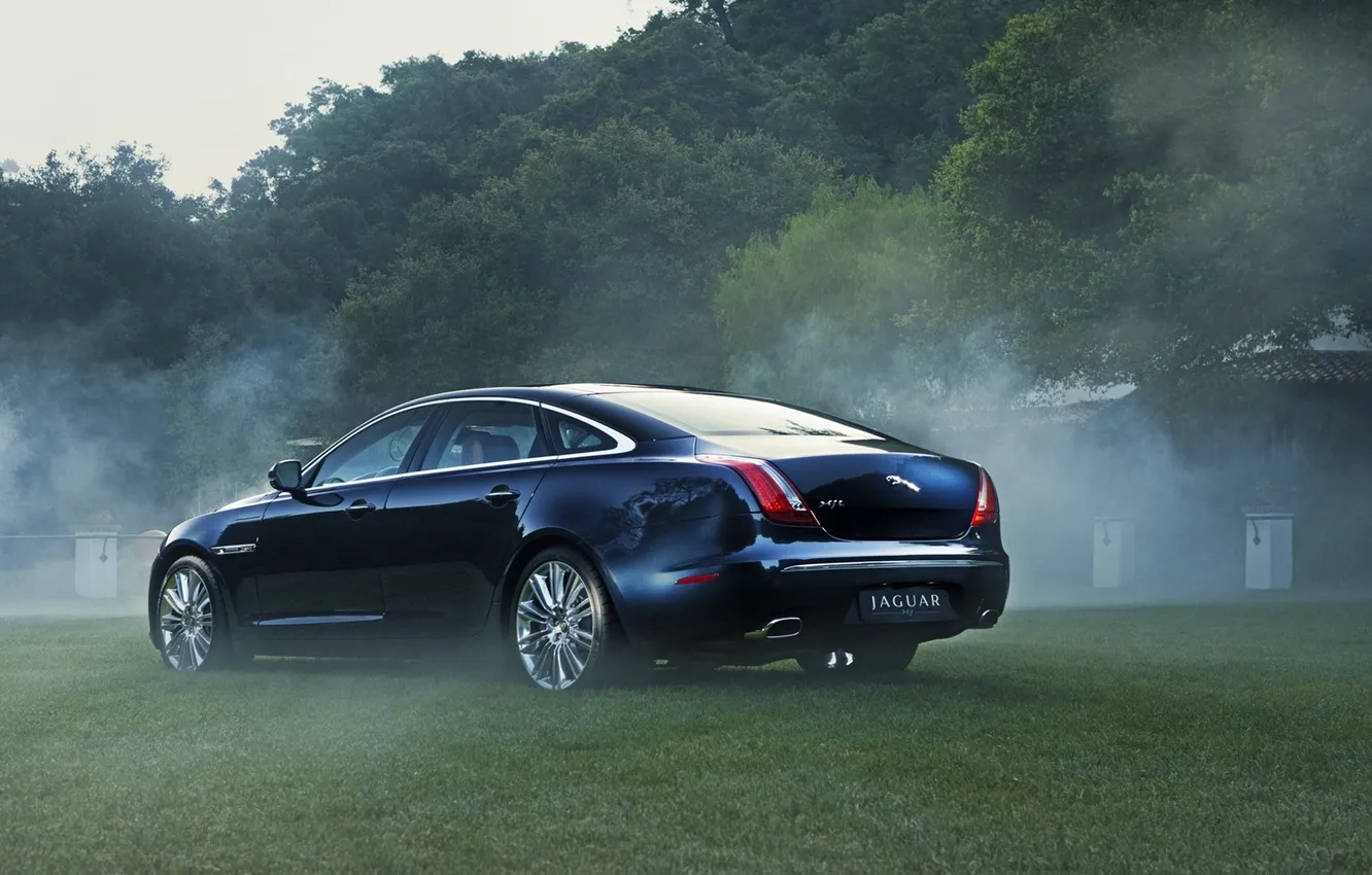 Photo wallpaper machine, auto, grass, trees, nature, fog, lights, ass