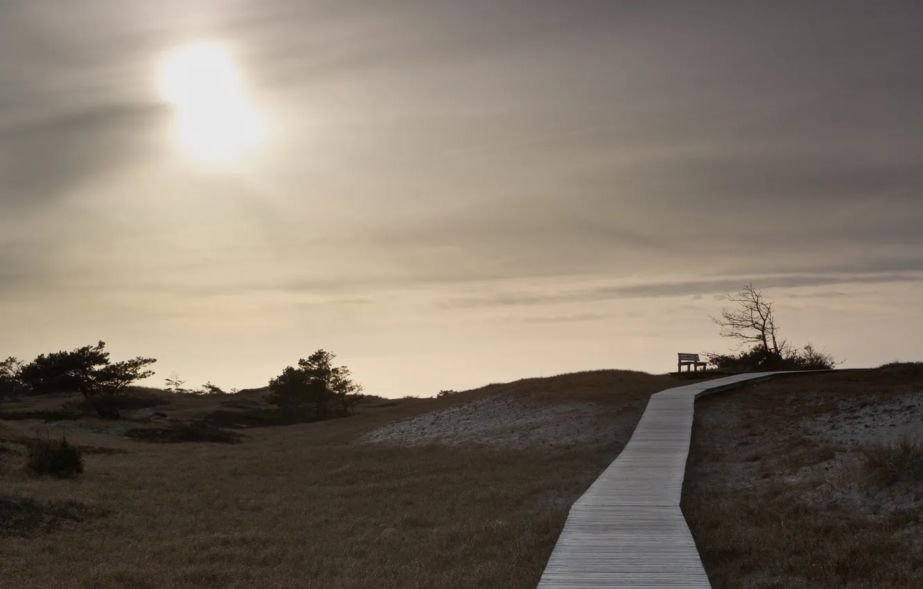 Photo wallpaper road, field, landscape, bench