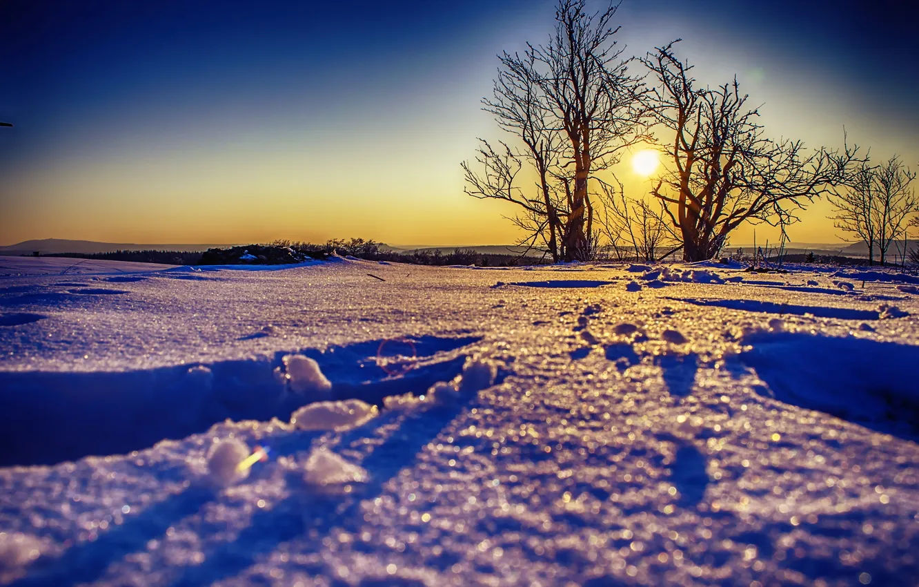 Photo wallpaper snow, trees, landscape, sunset