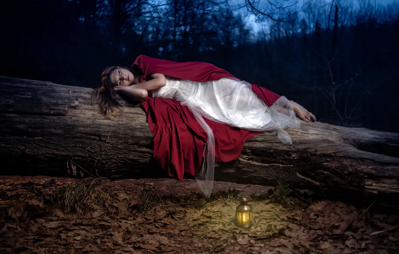 Photo wallpaper forest, girl, night