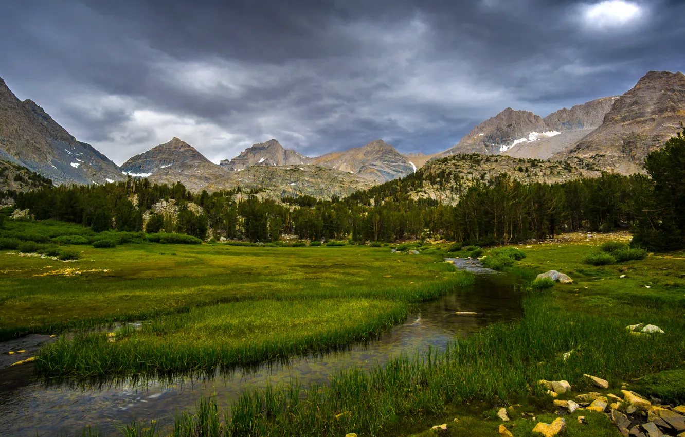 Photo wallpaper forest, grass, trees, mountains, stream, stones, rocks, glade