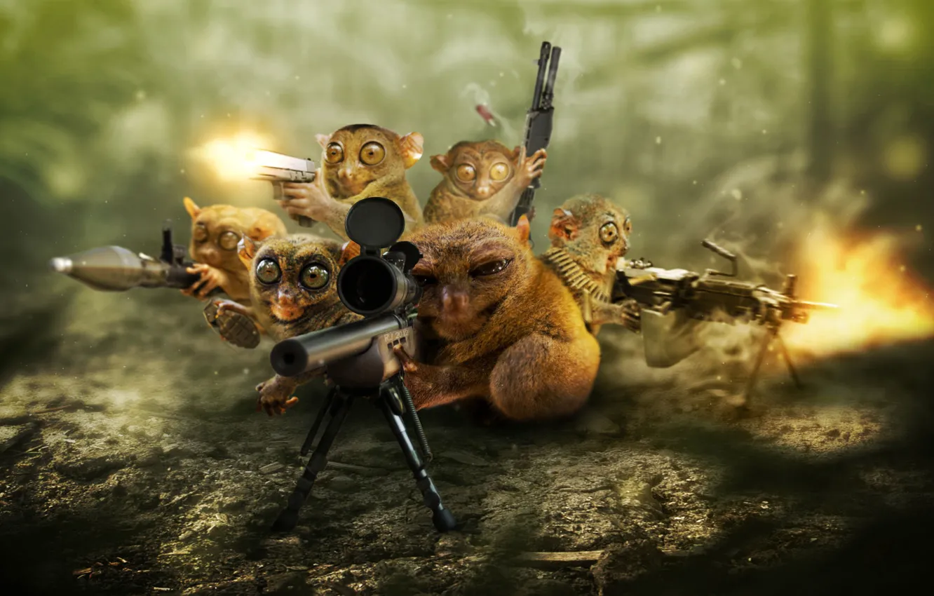 Photo wallpaper weapons, background, sniper, defense, pygmy Lori