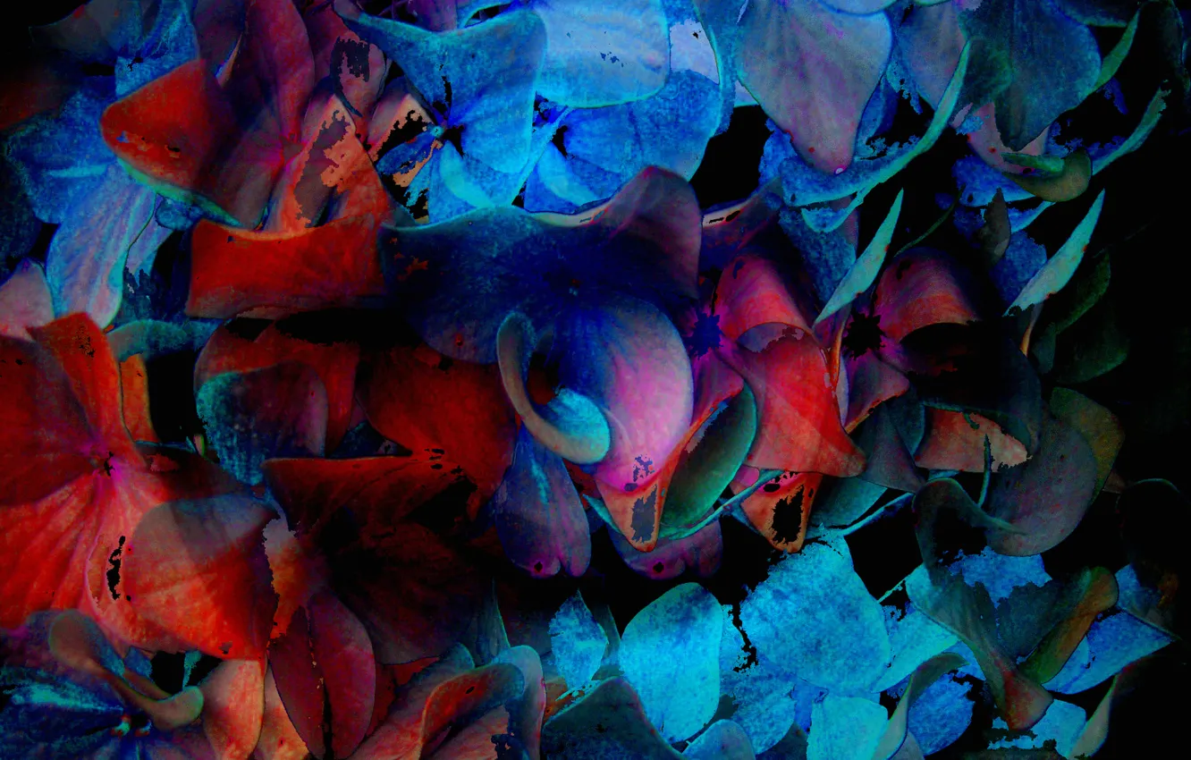 Photo wallpaper leaves, line, flowers, pattern, the volume