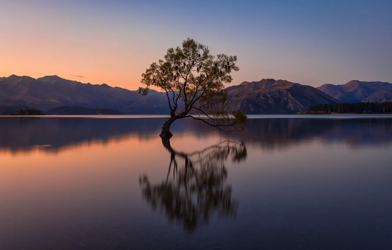 Photo wallpaper mountains, lake, bird, the evening, New Zealand